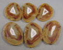 Natural Agate Slice 1pc J215