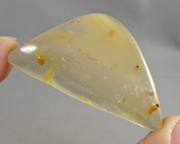 Polished Amber Madagascar 1pc B003-5