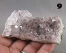 You Choose! Amethyst Crystal Cluster 1pc