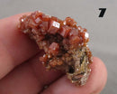 You Choose!  Vanadinite Crystal Cluster 1pc