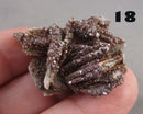 You Choose!  Vanadinite Crystal Cluster 1pc