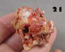 You Choose!  Vanadinite Crystal Cluster 1pc