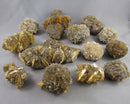 You Choose!  Manitoba Floodway Crystal Rose 1pc