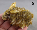 You Choose!  Manitoba Floodway Crystal Rose 1pc