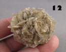 You Choose!  Manitoba Floodway Crystal Rose 1pc