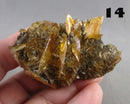 You Choose!  Manitoba Floodway Crystal Rose 1pc