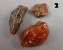 You Choose! Natural Amber Stones (Drilled) DROP 1