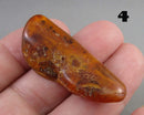 You Choose! Natural Amber Stones (Drilled) DROP 1