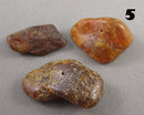You Choose! Natural Amber Stones (Drilled) DROP 1