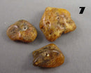 You Choose! Natural Amber Stones (Drilled) DROP 1