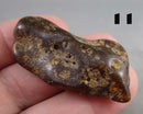 You Choose! Natural Amber Stones (Drilled) DROP 1