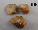 You Choose! Natural Amber Stones (Drilled) DROP 1