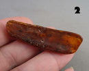 You Choose! Natural Amber Stones (Drilled) DROP 2