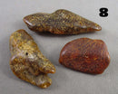 You Choose! Natural Amber Stones (Drilled) DROP 2
