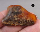 You Choose! Natural Amber Stones (Drilled) DROP 2