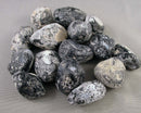 Raw Obsidian Nodules (Apache Tears) 3 pcs J177