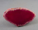 30% OFF!  Agate Slice Nightlight 1pc