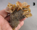 NEW Crystal Specimen Drop Oct 25th