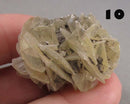 NEW Crystal Specimen Drop Oct 25th