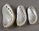 Abalone Shells Small Smoke Cleansing Bowls 3pc H011**