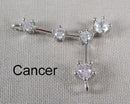 CZ Zodiac Constellation Charms (Astrological) 1pc