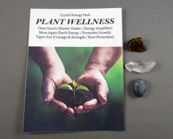 Plant Wellness! Crystal Energy Kit H106