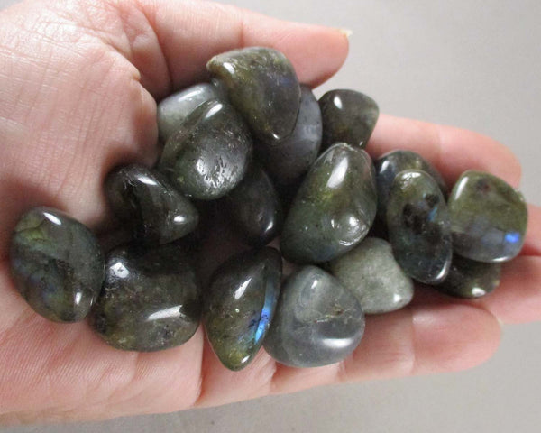 Labradorite Polished Stones (Small) 5pcs J063**