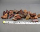 30% OFF!  Rainbow Petrified Wood Raw (Small) 3pcs Z067