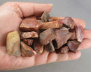 rainbow petrified wood