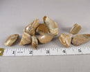 Picture Jasper Polished Stones 3pcs J178**