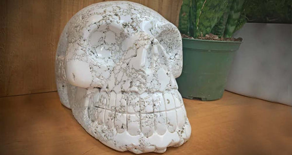 The Legend of The Howlite Skull ~ A True Story