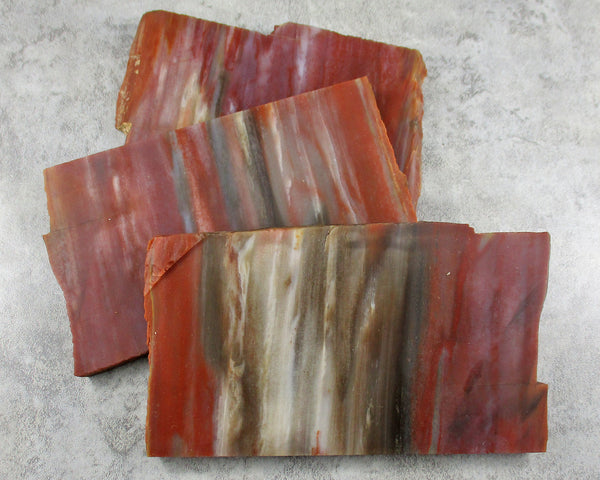 Rainbow Petrified Wood Slice 1pc J030