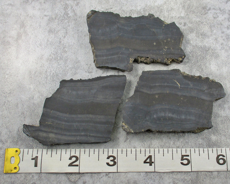 Psilomelane Stone Slice (Merlinite) 1pc J041