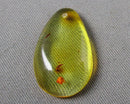 Polished Amber Drilled Cabochon B076-3