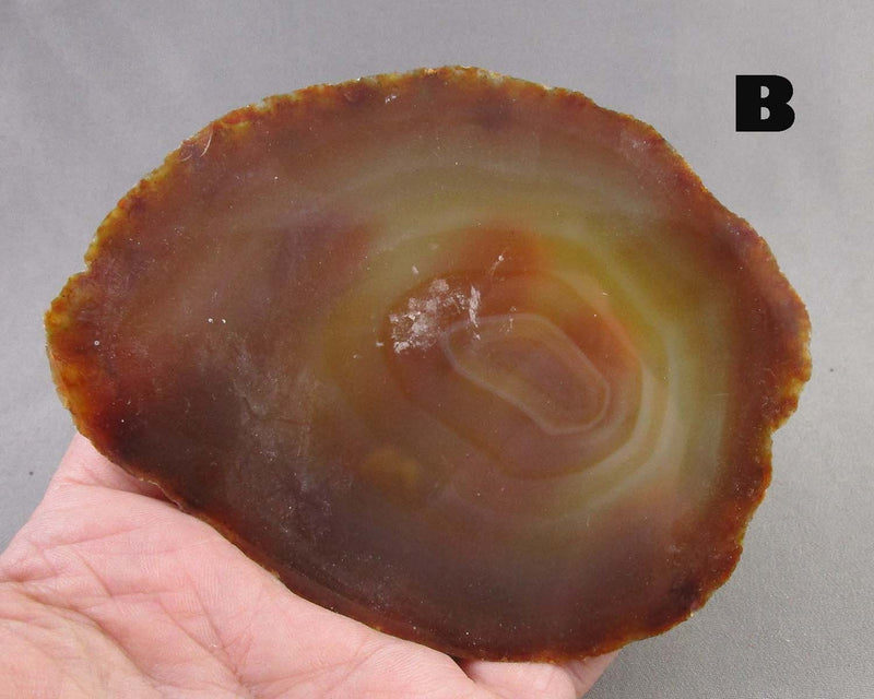 You Choose! Large Agate Stone Slice 1pc