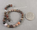 Petrified Wood Beads Round Various Sizes