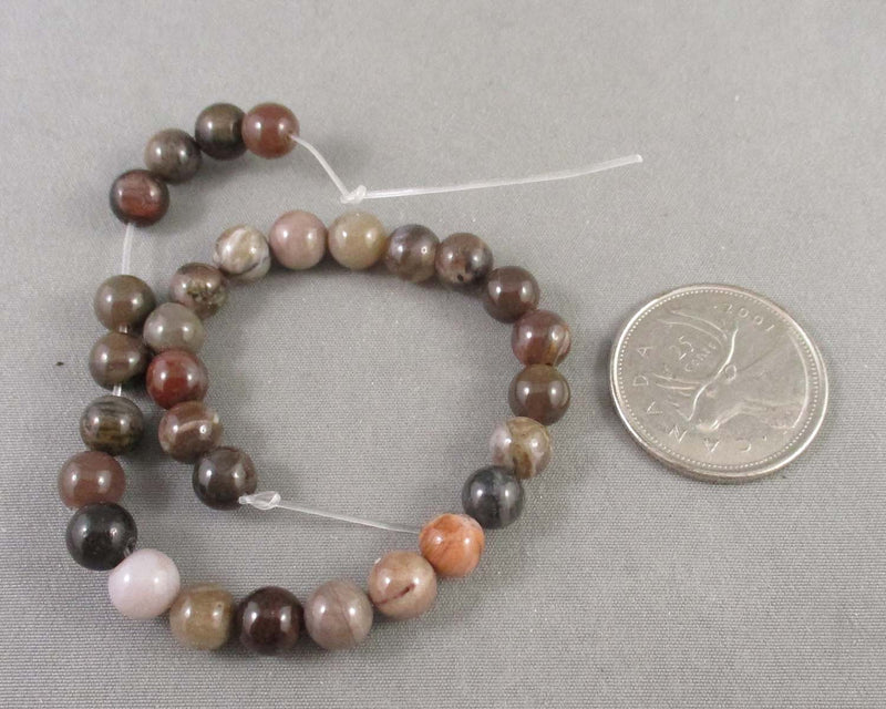 Petrified Wood Beads Round Various Sizes