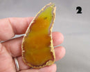 You Choose! Agate Stone Slice (Drilled)