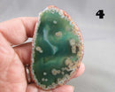 You Choose! Agate Stone Slice (Drilled)