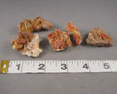 Vanadinite Crystal Cluster 1pc J120