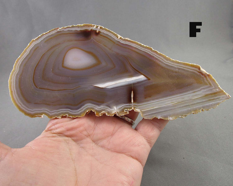 You Choose! Large Agate Stone Slice 1pc