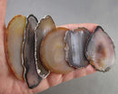 Agate Slice (Undrilled) 1pc Z019