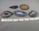 Agate Slice (Undrilled) 1pc Z019