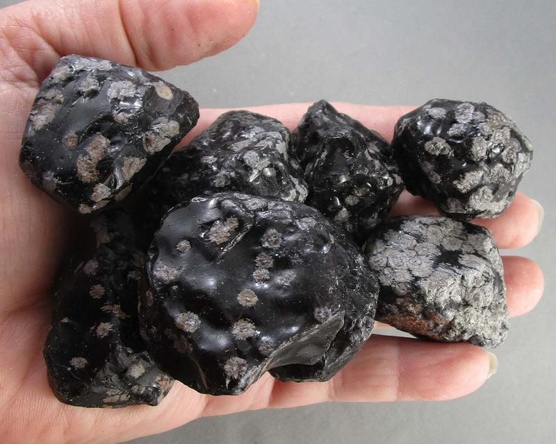 Snowflake Obsidian Stones Raw 2pcs H167-1