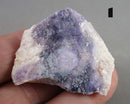 You Choose! Purple Opal (Morado Opal)