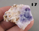 You Choose! Purple Opal (Morado Opal)