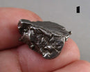 You Choose!  Campo Del Cielo Meteorite