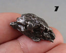 You Choose!  Campo Del Cielo Meteorite
