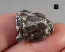 You Choose!  Campo Del Cielo Meteorite