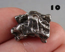 You Choose!  Campo Del Cielo Meteorite